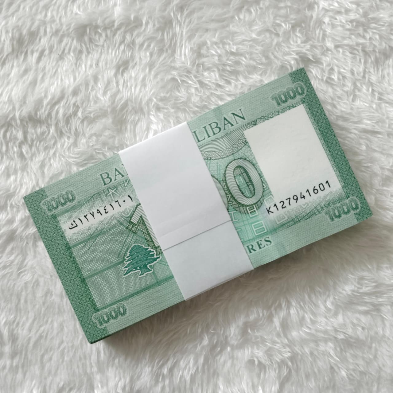 LIBAN 1000 F