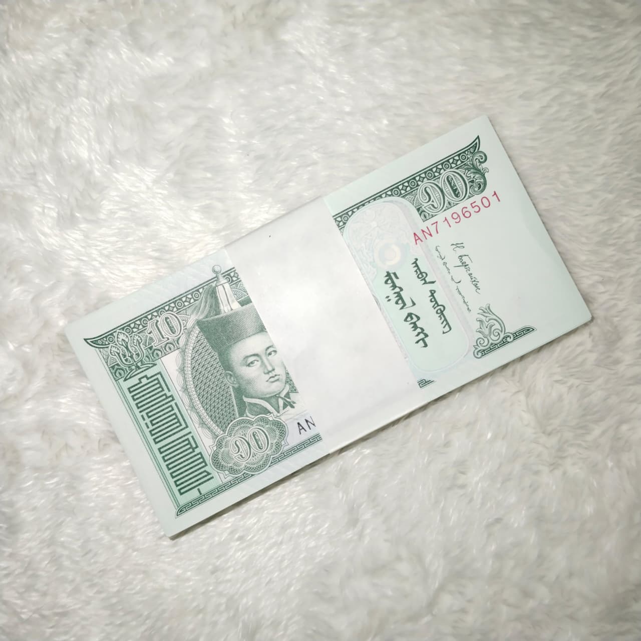 MONGOLIA 10 - F