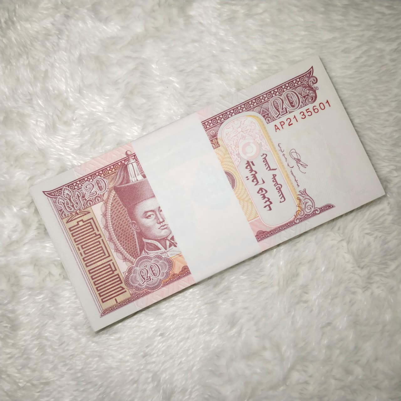 MONGOLIA 20 - F